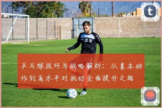 乒乓球技巧与战略解析：从基本动作到高水平对抗的全面提升之路